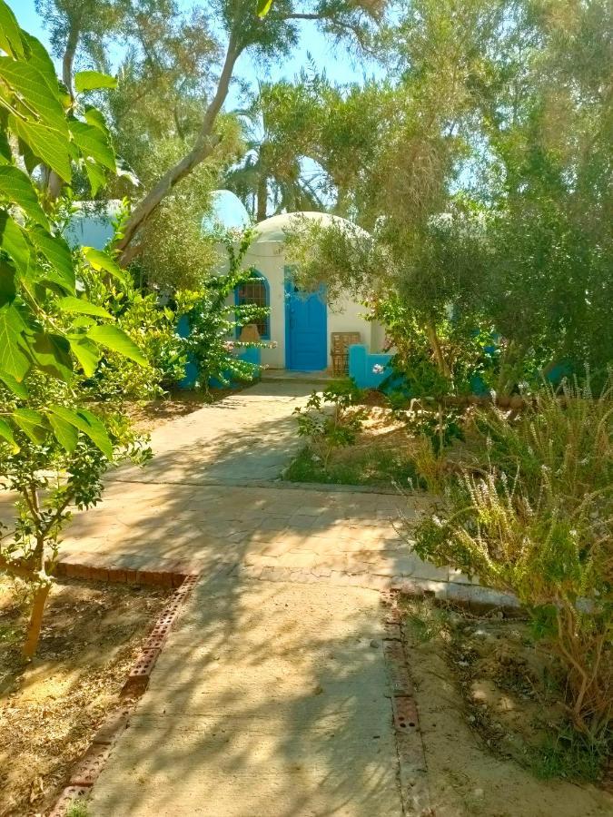 Panta Lodge Siwa Siwa Oasis Dış mekan fotoğraf